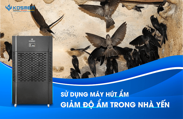 Giảm độ ẩm nhà yến bằng máy hút ẩm