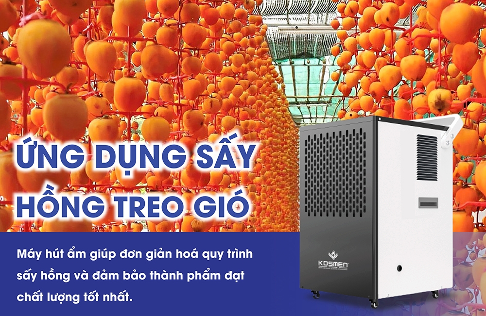 Ứng dụng máy hút ẩm công nghiệp trong sấy hồng treo gió 