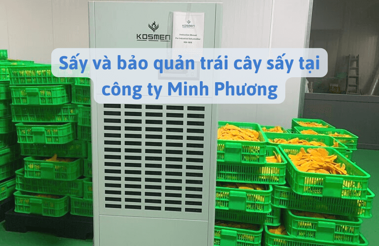 Sấy Và Bảo Quản Trái Cây Tại Công Ty Minh Phương - Đồng Tháp